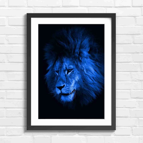 Majestic male lion - majestic,
