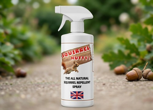 Natural garden squirrel pest - squirrel,
