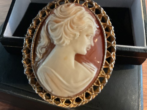 Attractive cameo brooch fancy - attractive,