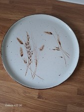 Vintage Midwinter Oval Platter