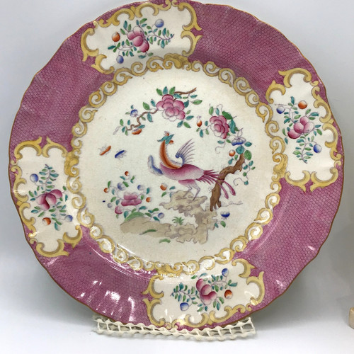 Minton pink cockatrice - cockatrice, dinner