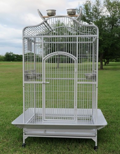 Large bird parrot open - x-large,