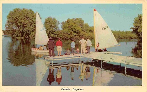 Sail boats small yachts - boats,