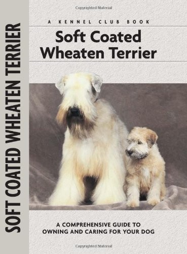 Soft coated wheaten - coated,