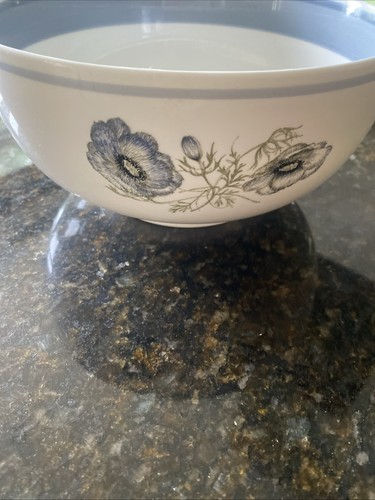 Wedgewood susie cooper - susie,