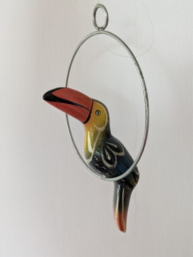 Stunning toucan bird - stunning,