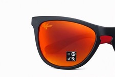 Oakley Frogskins MotoGP