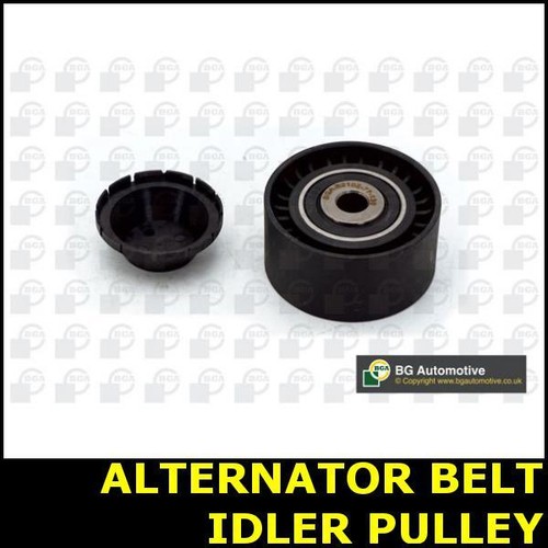 Ribbed belt idler pulley - belt,