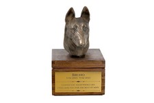 Malinois belgian shepherd dog - malinois,