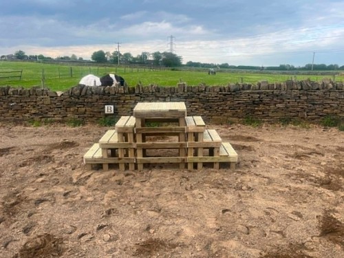 Equestrian steps both sides - equestrian,