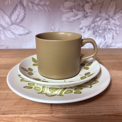 Vintage meakin tulip time - j&g,