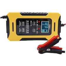 12 Volt 6 Amp Auto Stop Pulse