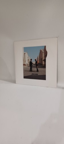 Pink floyd vinyl record - pink,