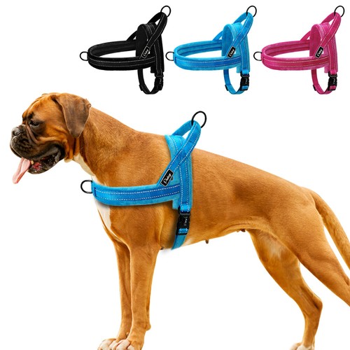Reflective pull strap dog - pull,