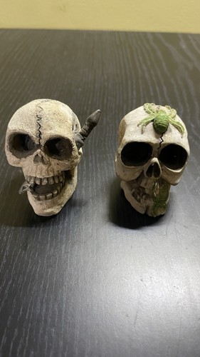Small skulls - 2, x