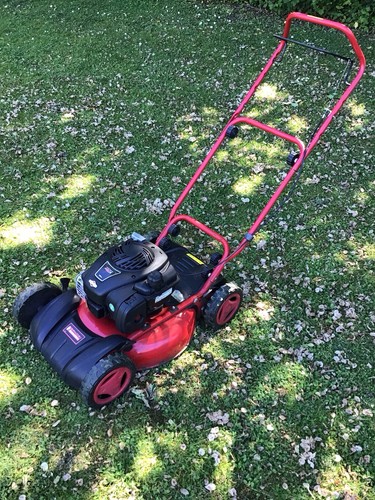 Petrol push type mulcher - push,