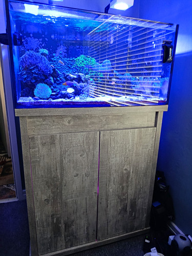 Reef pro 900 marine - pro,