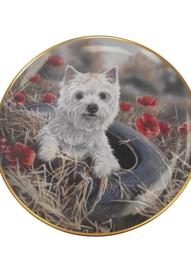 Paul doyle decorative tyred - paul,