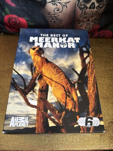 The best meerkat - best, of