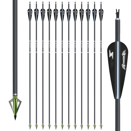 12pcs carbon arrows with - 12pcs,