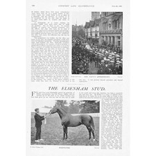 ELSENHAM Essex The Race Horse