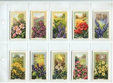 Wild Flowers 1939 Gallaher Cigarette Cards - Full Set of 48 Cards