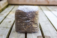 1.5kg - 3kg 50/50 mix coco coir / vermiculite bulk substrate. CVG Damion tek