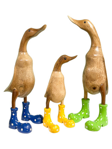 Hand carved duck - carved,