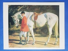 Postcard Horse Art Painting