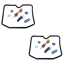 2x Carburetor Repair Kit