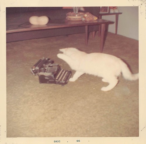 Vintage 1966 kitty cat bapping - 1966,