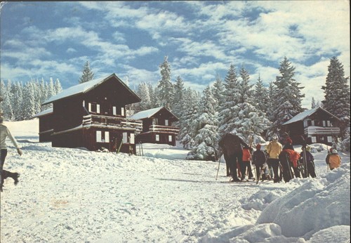 Vintage postcard châtel - vintage,