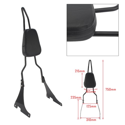 Passenger backrest sissy bar - passenger,