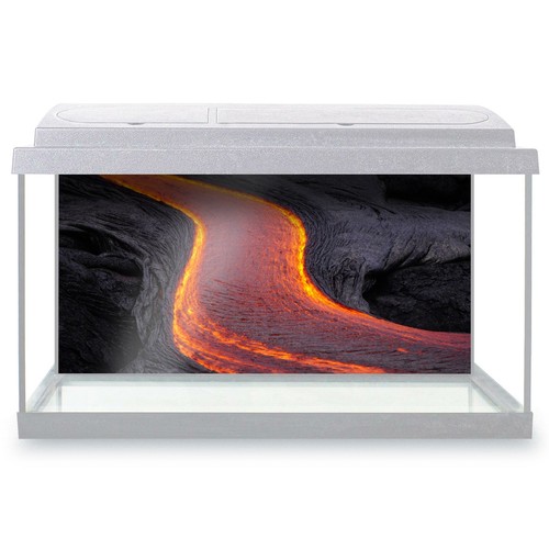 Fish tank background 90x45cm - fish,