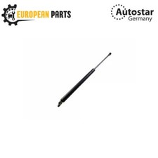 AutoStar Germany Boot Strut
