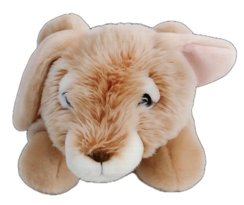 The puppet company rabbit - the,