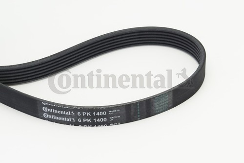 Ribbed belt continental ctam - belt,