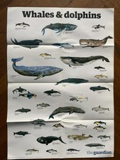 The Guardian wall chart