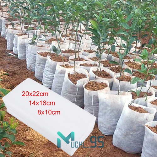 100 pcs plant - plant, bags