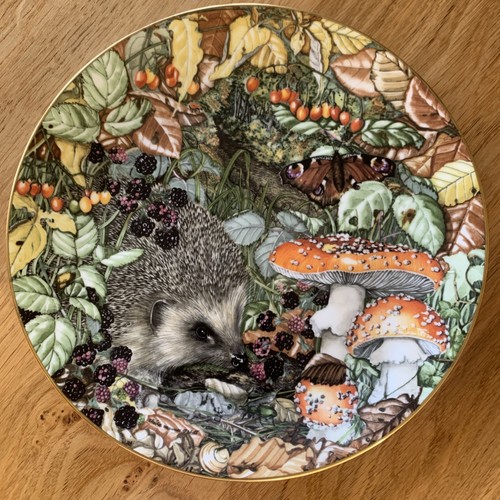 Coalport collectors plate - collectors,