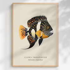 Clown Triggerfish Print