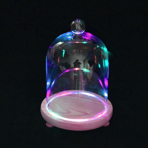 Fashion glass display cloche - glass,