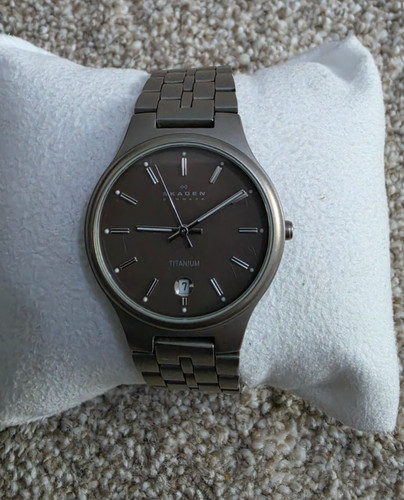 Skagen titanium quartz - skagen,