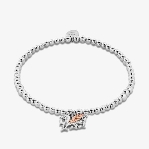 Clogau welsh dragon - dragon, 9ct
