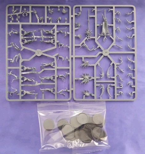 Daemonettes unit age of - daemonettes,