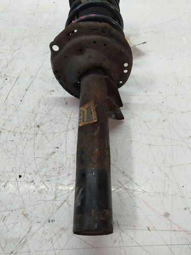 Front left shock - , absorber