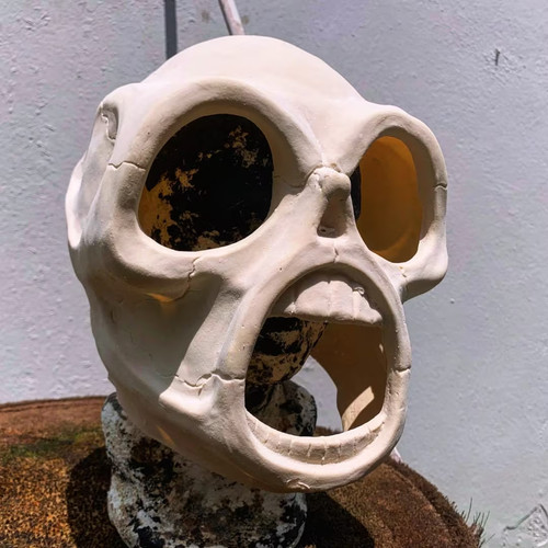 Slipknot style sid - style, (iowa)
