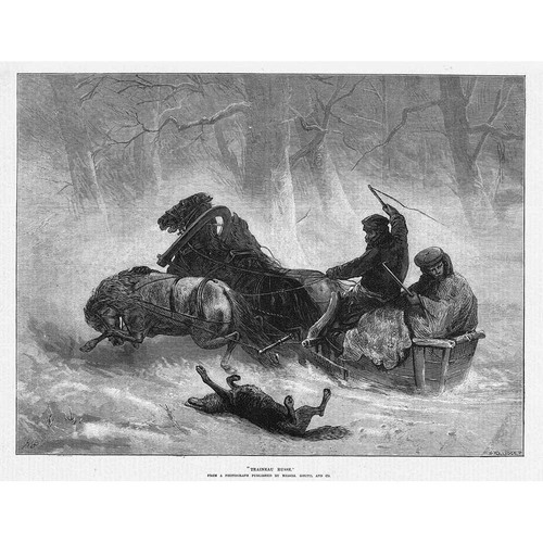 Russian sleigh attacked - russian,
