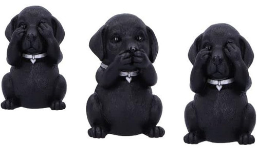 Pcs wise labradors black - wise,