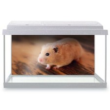 Fish Tank Background 90x45cm -